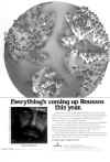Demis 1982.jpg (37903 byte)